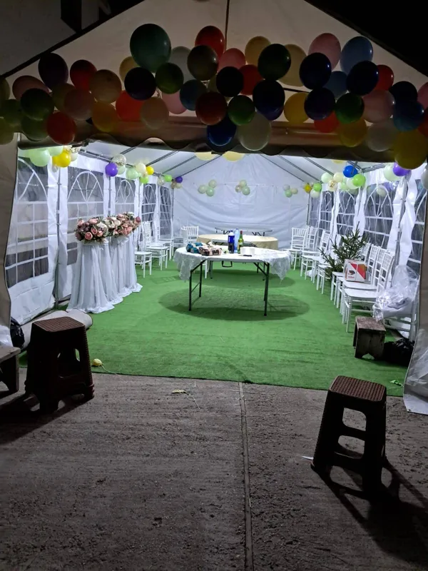 Cort iluminat seara, cu baloane colorate, mochetă verde și decor floral